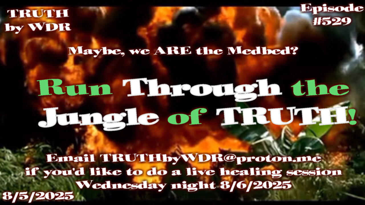 Run through the Jungle of Truth - TRUTH by WDR - Ep. 529