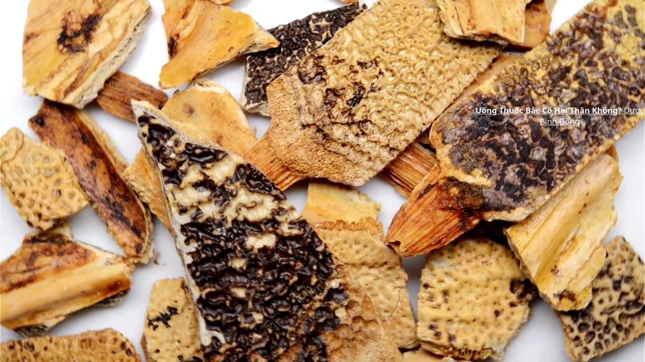 Uống Thuốc Bắc Có Hại Thận Không? Giải Đáp Chi Tiết & Lời Khuyên An Toàn! Dược Bình Đông