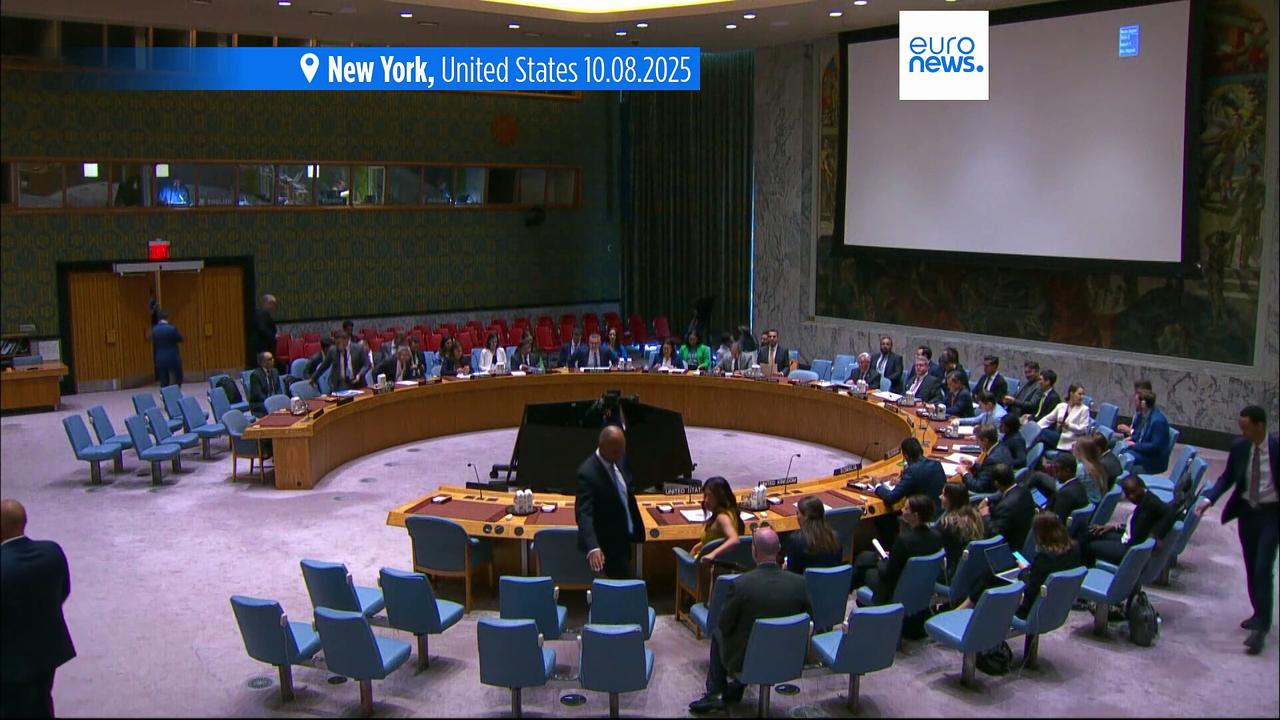 UN Security Council ambassadors meet in emergency session on Gaza starvation crisis