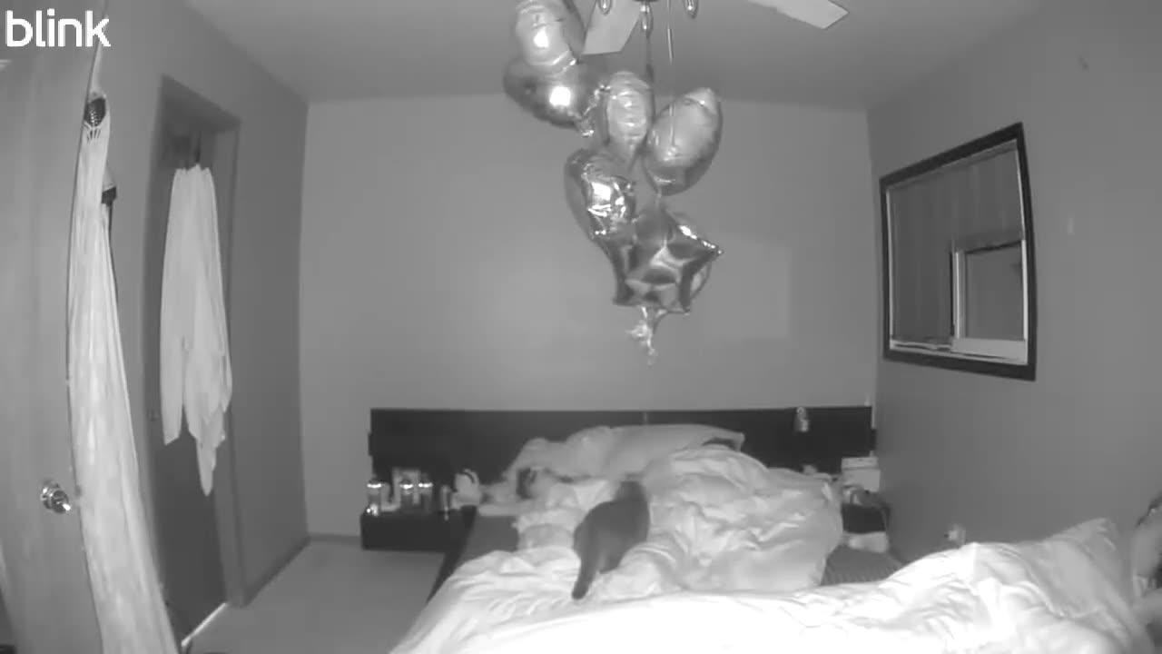 3am Happy Birthday Wish