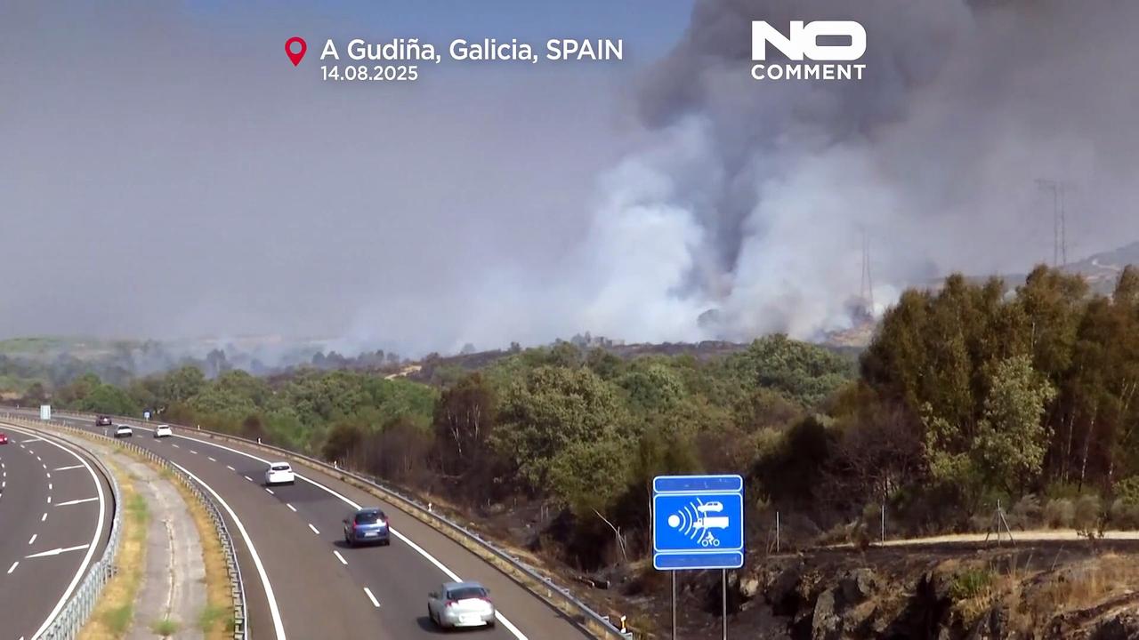 Wildfires destroy thousands of hectares in Spain