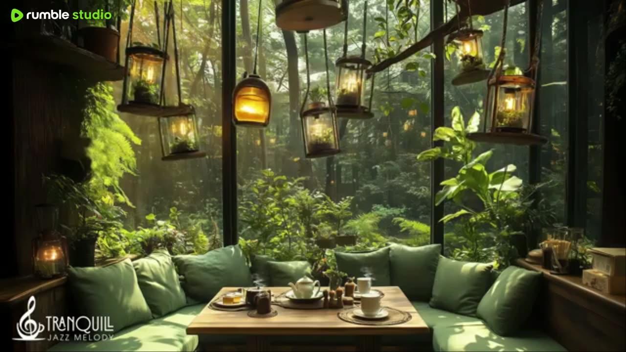 lofi hip hop radio 📚 beats to relax/study to
