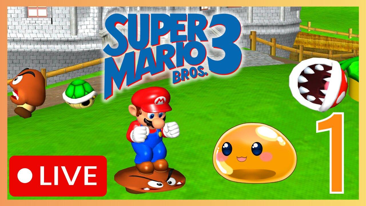 【Mario Bros. 3 Randomizer】First Time Randomizer! It's Gonna Be CRAZY!