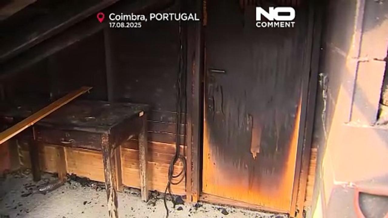 More than 172,000 hectares burned as Portugal fights multiple blazes