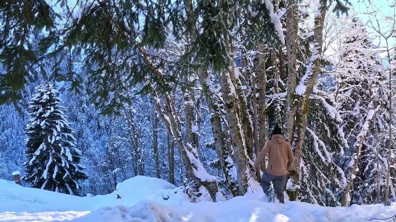 Building a COZY SNOW HUT in the deepest Winter to stay warm