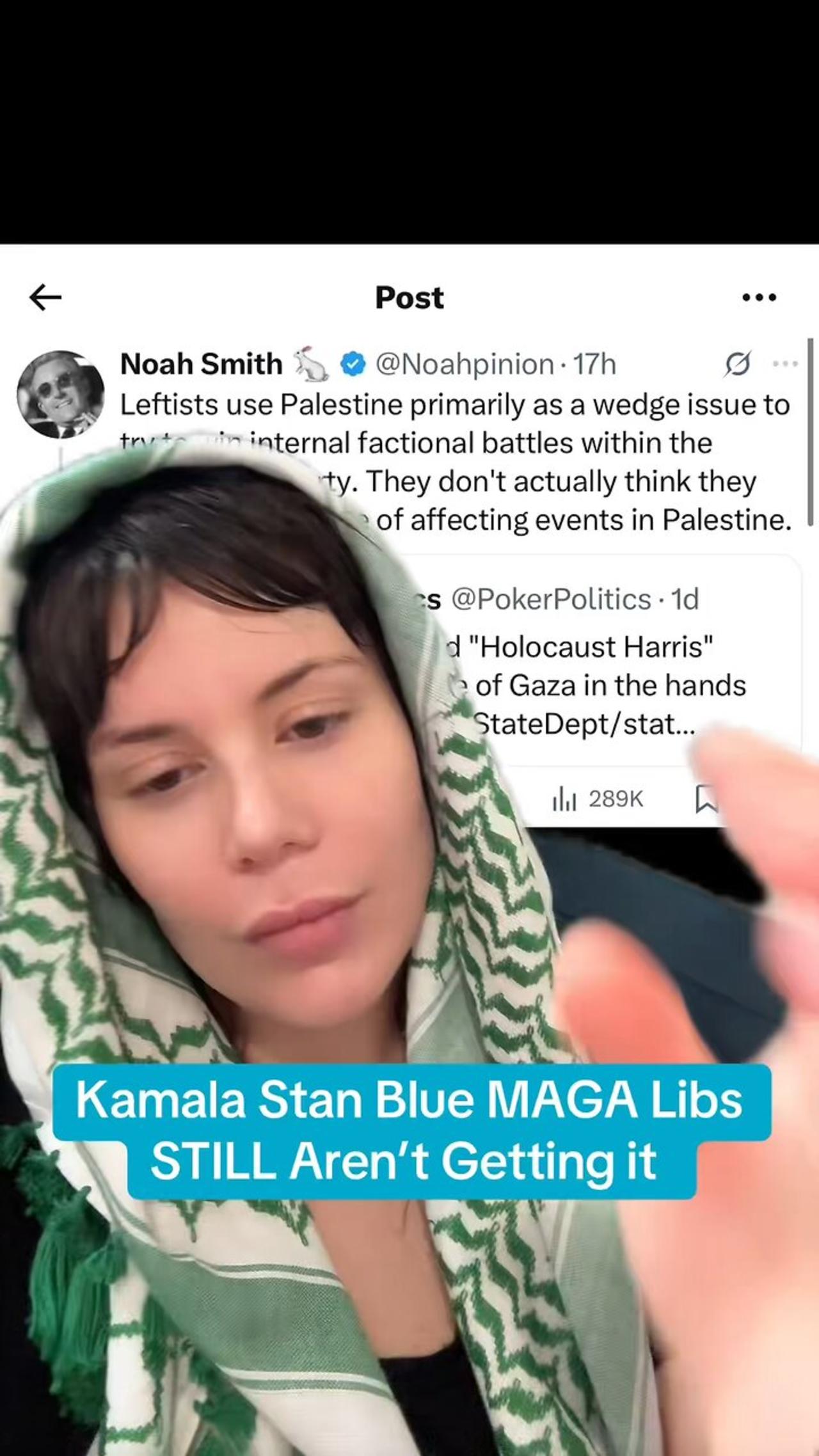 Kamala Stan Blue MAGA Liberals STILL Aren’t Getting it!