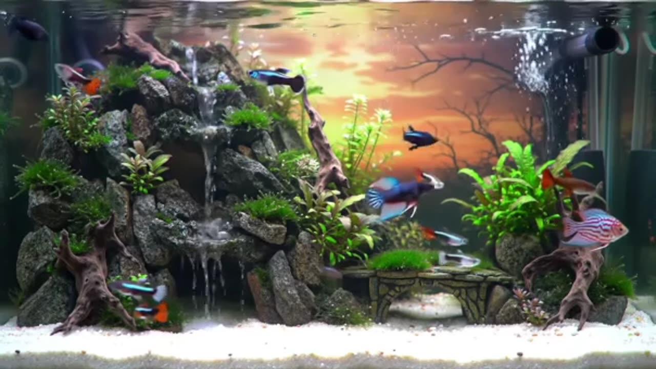 Nature in a Tank: Discover the Art of Aquascaping