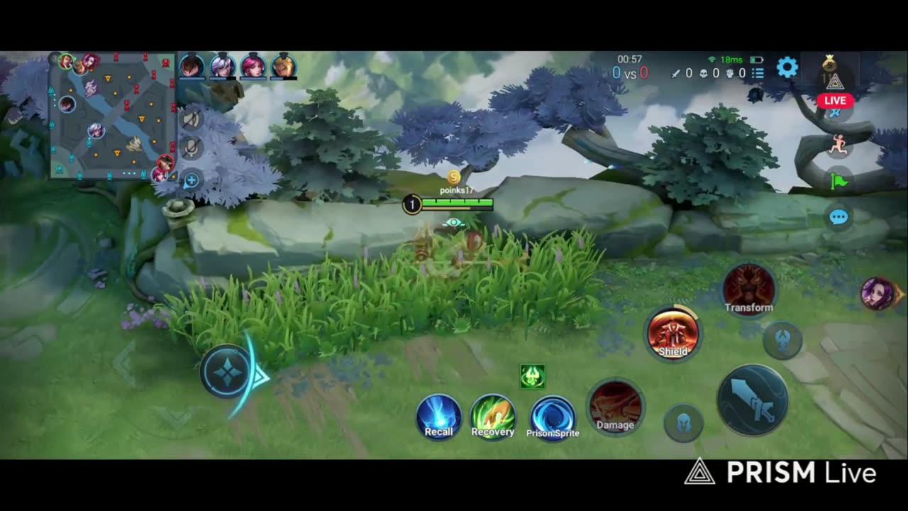 poinks gaming