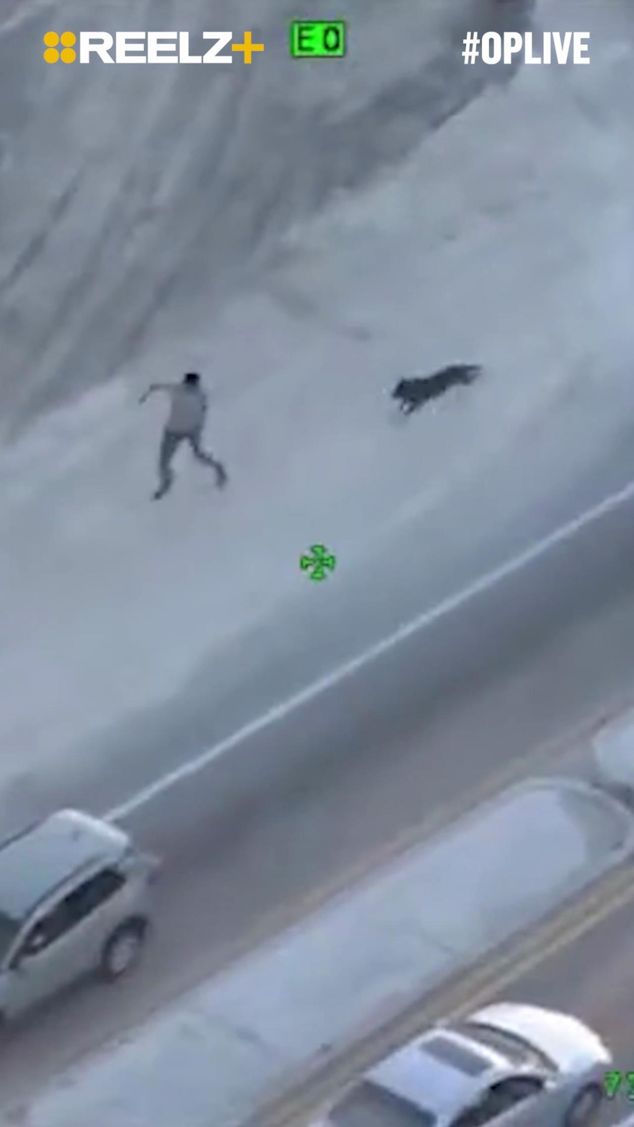 This High-Speed Chase Ended When K9 Red Took Over