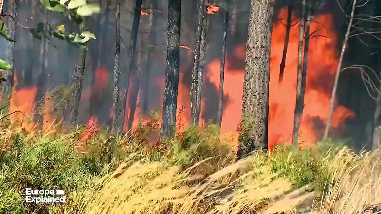 Record amount of wildfire destruction marks dark year for Europe