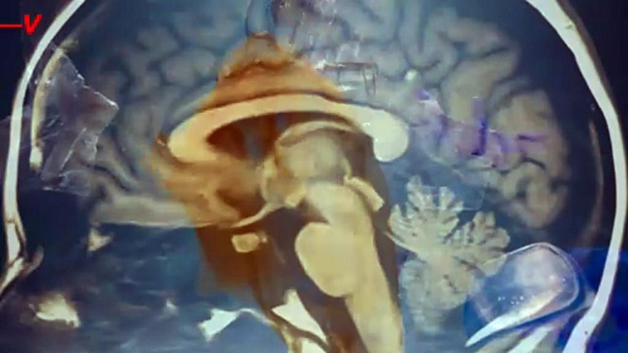 This is the One Creature That Could Be Immune to Ingesting Microplastics
