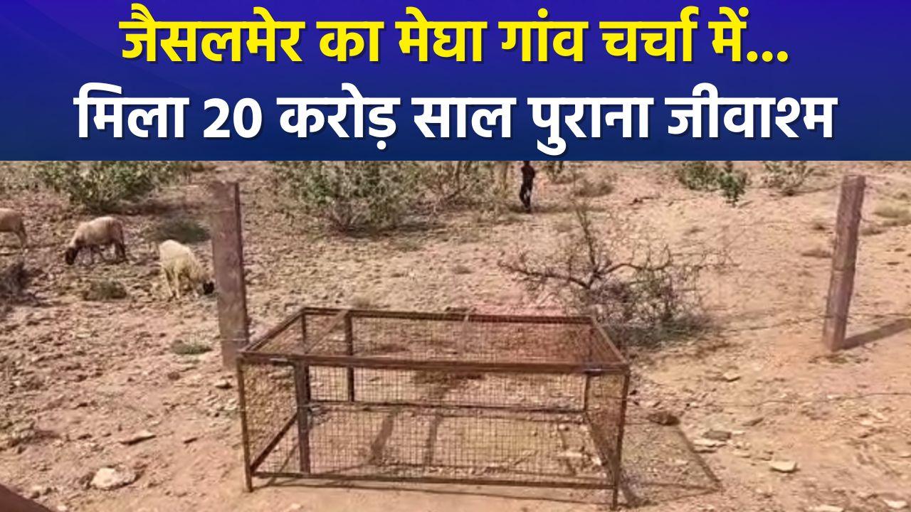 राजस्थान के जैसलमेर में मिला 20 करोड़ साल पुराना ज