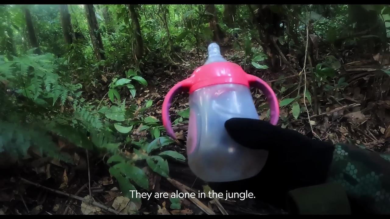 Lost in the Jungle Movie