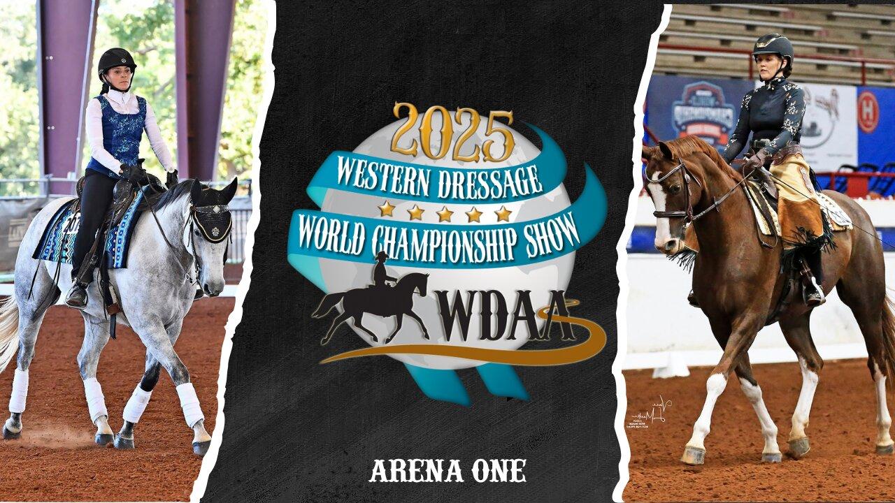 2025-wdaa-western-dressage-world-championship-one-news-page-video